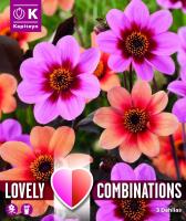 Комбинация декоративна Далия - розова и оранжева 3 бр.