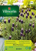 Френска лавандула